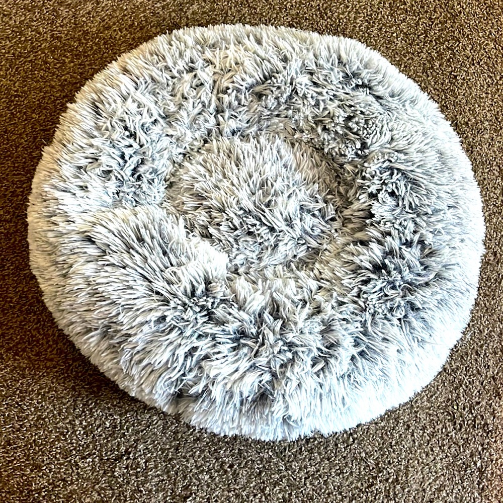 Like new Fuzzy cat bed (or small dog)